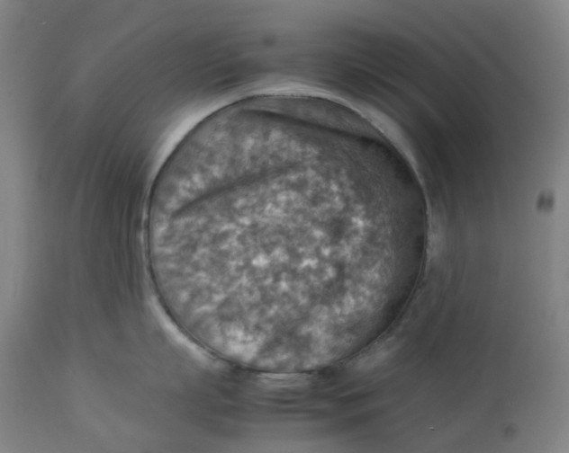 X0000112770863200909171311