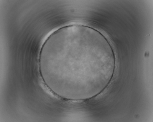 X0000112770864200909171311