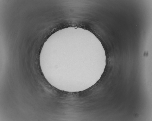 X0000112770865200909171310