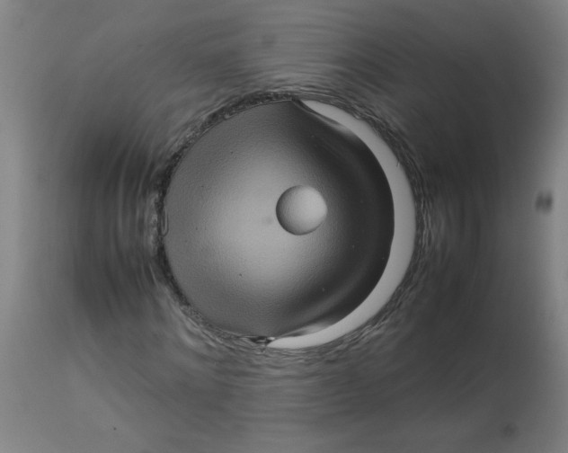 X0000112770868200909171310