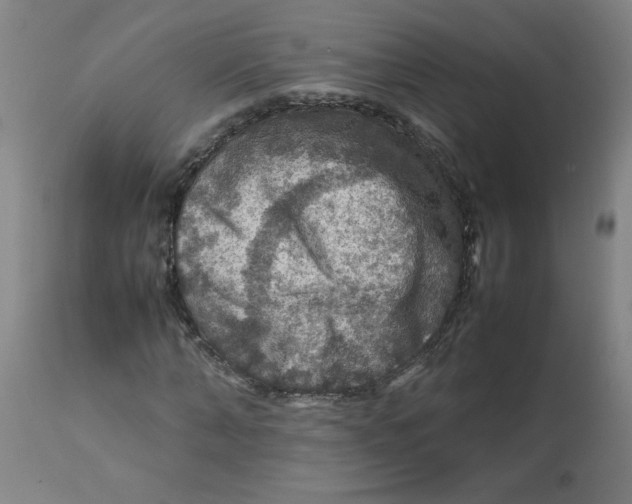 X0000112770870200909171310