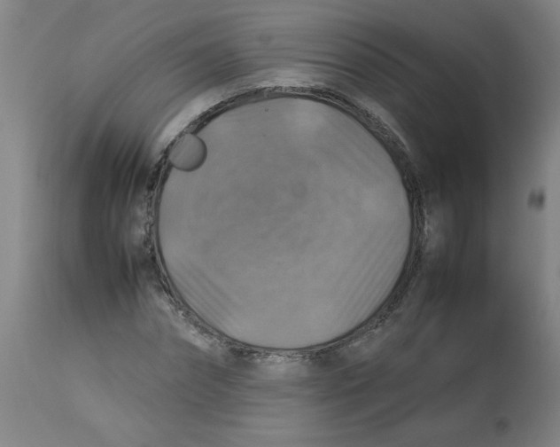 X0000112770874200909171310