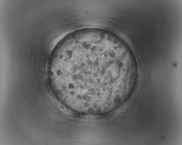 X0000112770875200909171310