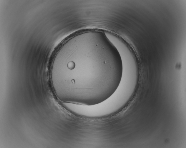 X0000112770876200909171310