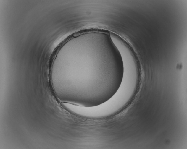 X0000112770877200909171310