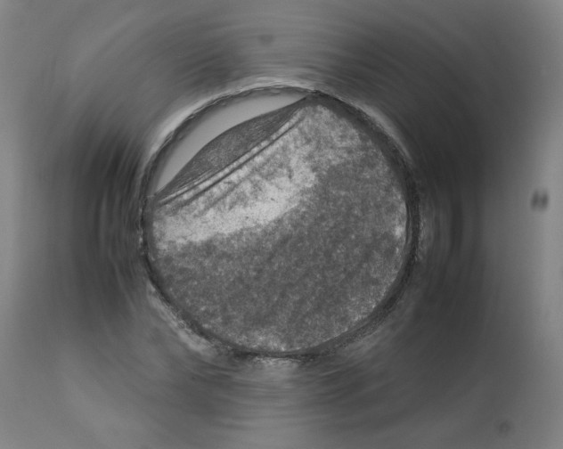 X0000112770878200909171310