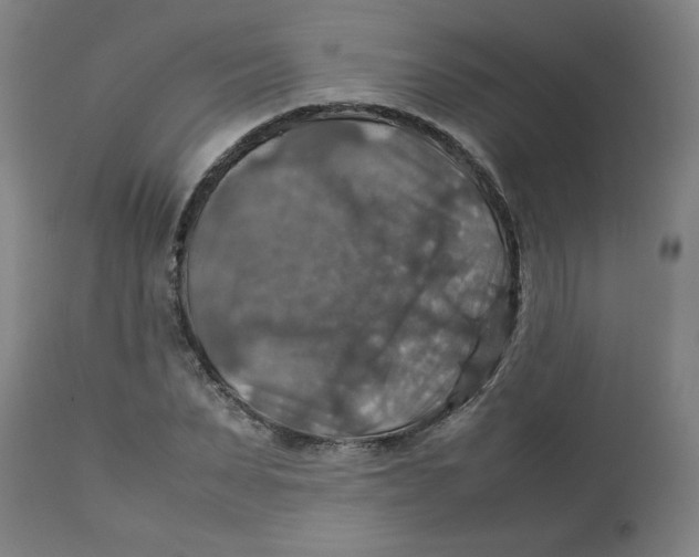 X0000112770879200909171310