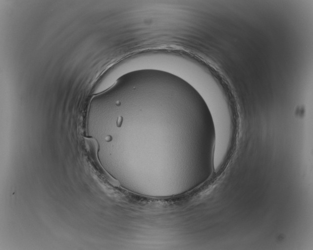 X0000112770881200909171310