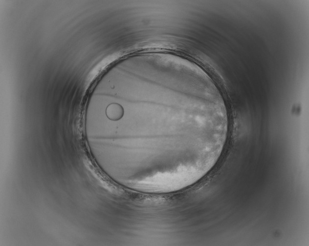 X0000112770882200909171310