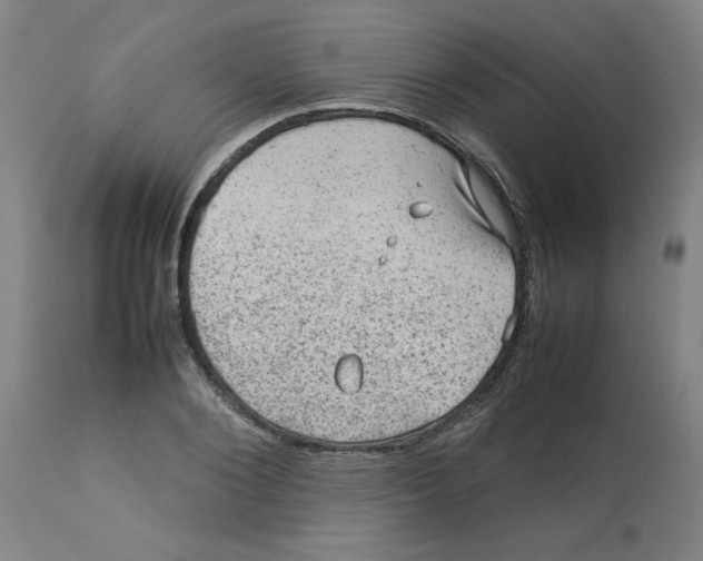 X0000112770884200909171310