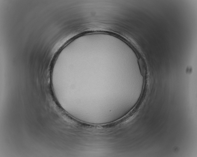 X0000112770885200909171310