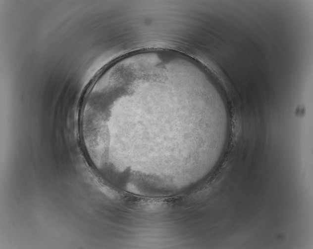 X0000112770886200909171310