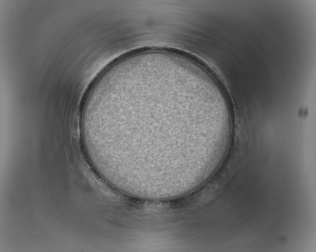 X0000112770887200909171310