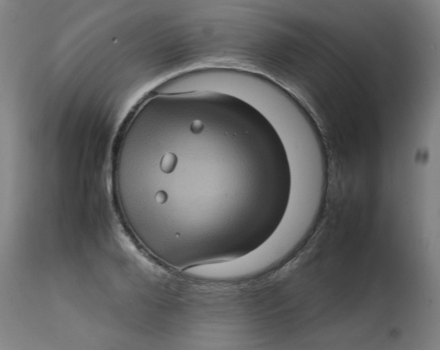 X0000112770888200909171310