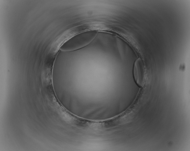 X0000112770889200909171310