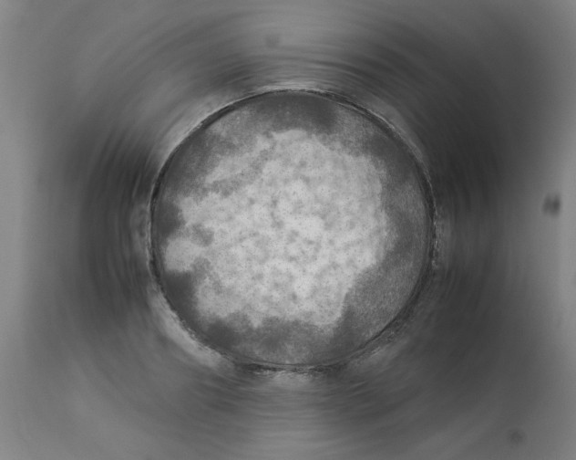 X0000112770890200909171310