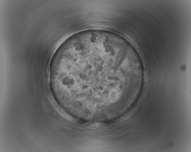 X0000112770891200909171310