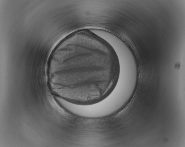 X0000112770892200909171310