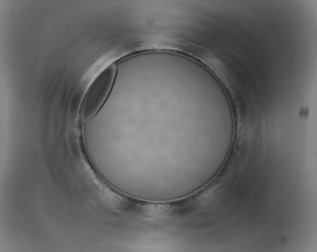 X0000112770893200909171310