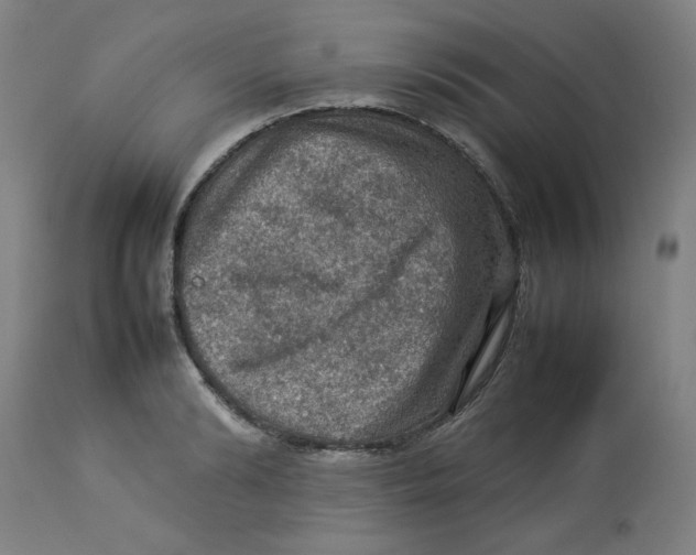 X0000112770894200909171310