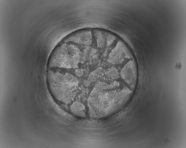 X0000112770895200909171310