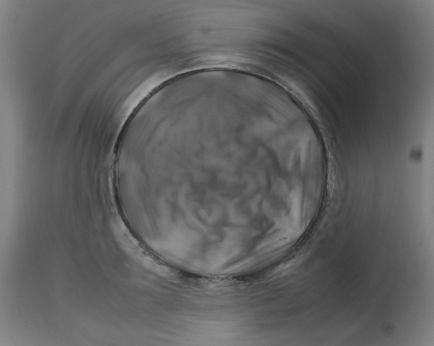 X0000112770899200909171310