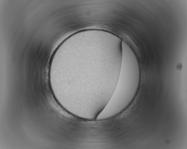 X0000112770900200909171310