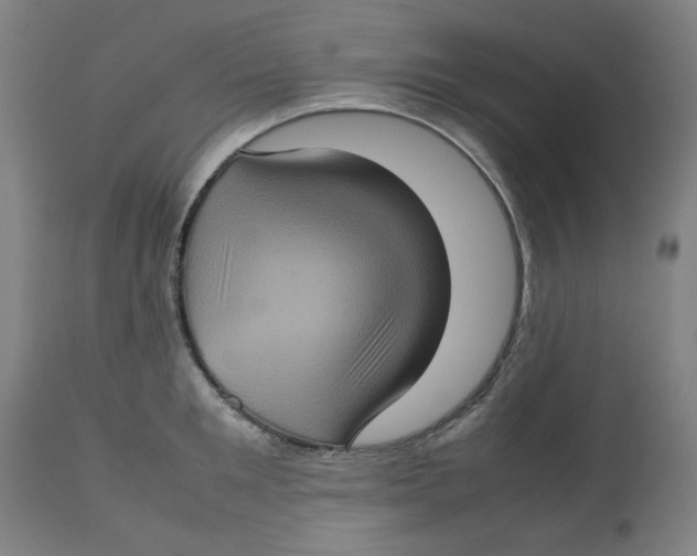 X0000112770901200909171310