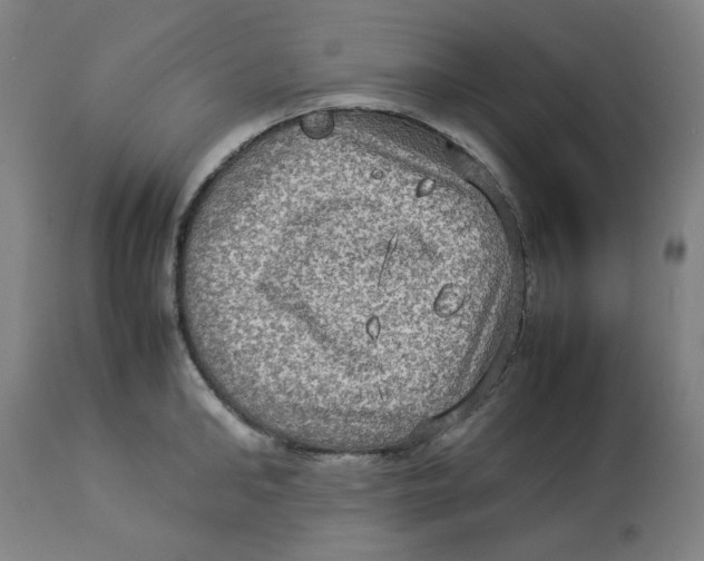 X0000112770902200909171310