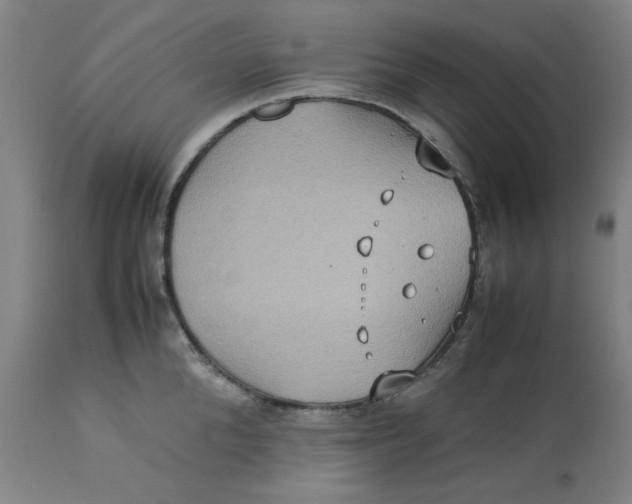 X0000112770904200909171310