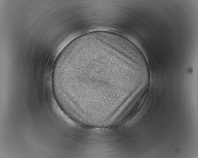 X0000112770906200909171310