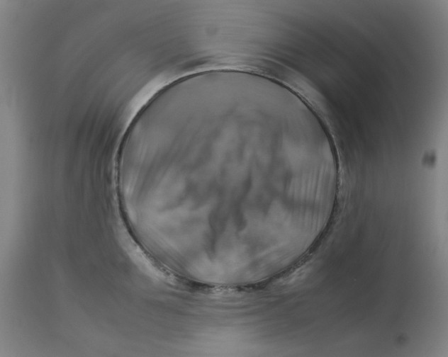 X0000112770907200909171310