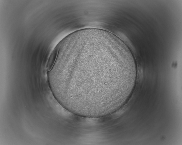 X0000112770908200909171310