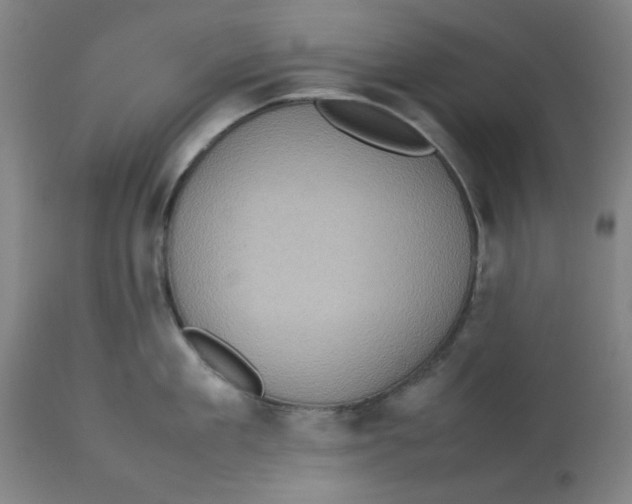 X0000112770909200909171310