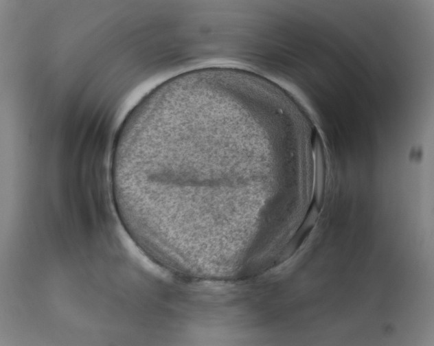 X0000112770910200909171310