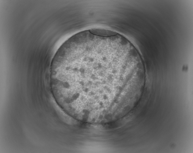 X0000112770911200909171310