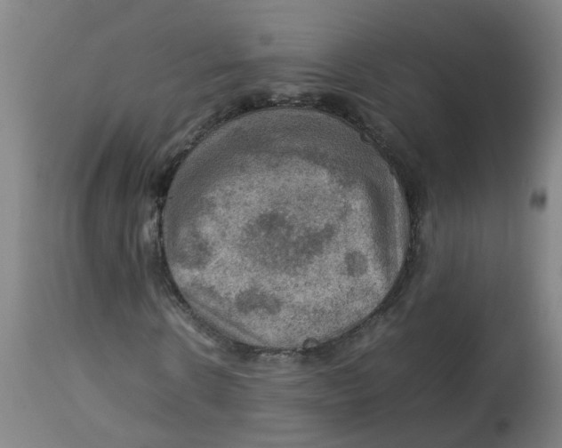 X0000112770914200909171309