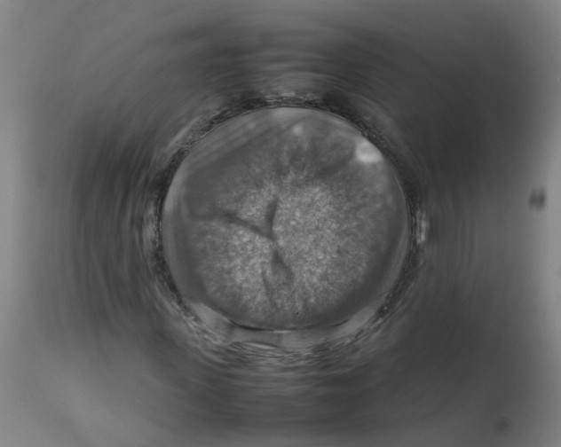 X0000112770915200909171309