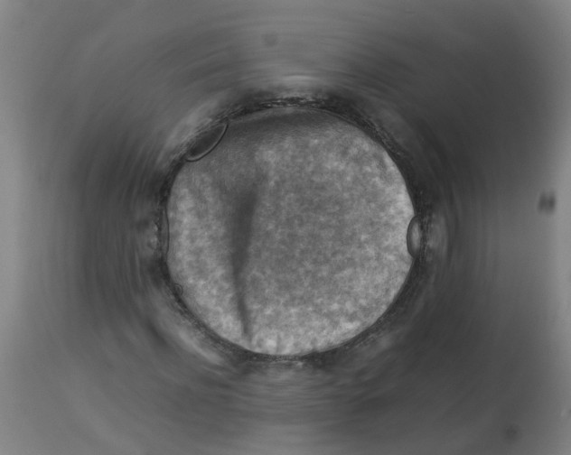 X0000112770916200909171309