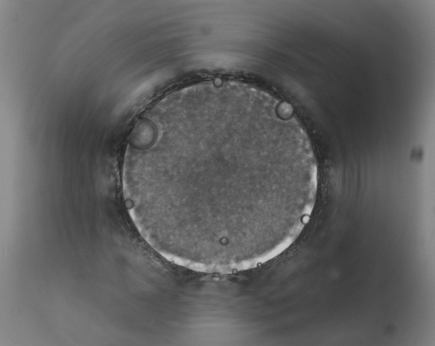 X0000112770918200909171309