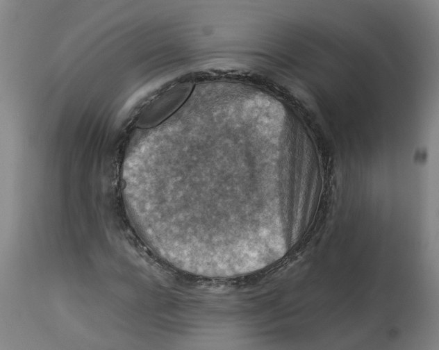 X0000112770920200909171309