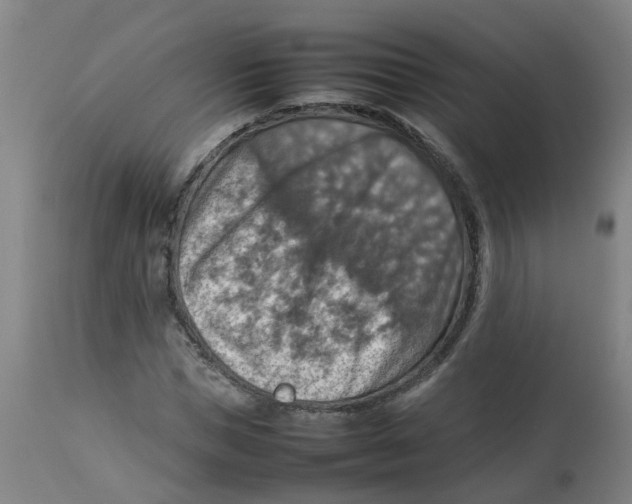 X0000112770921200909171309