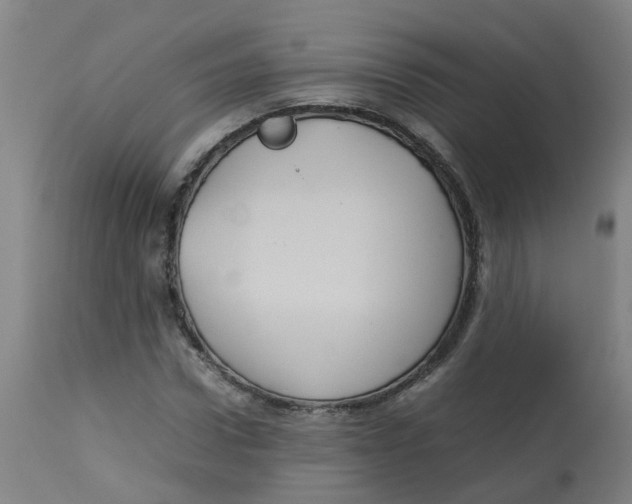 X0000112770922200909171309