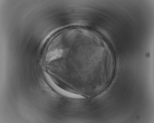 X0000112770923200909171309