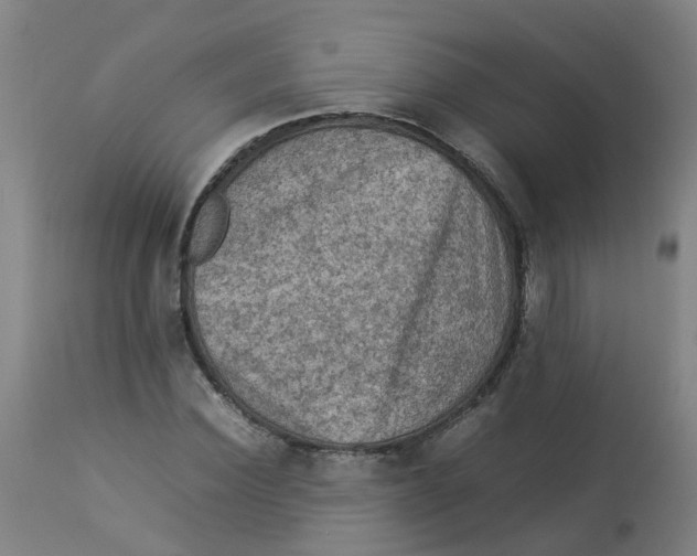 X0000112770924200909171309