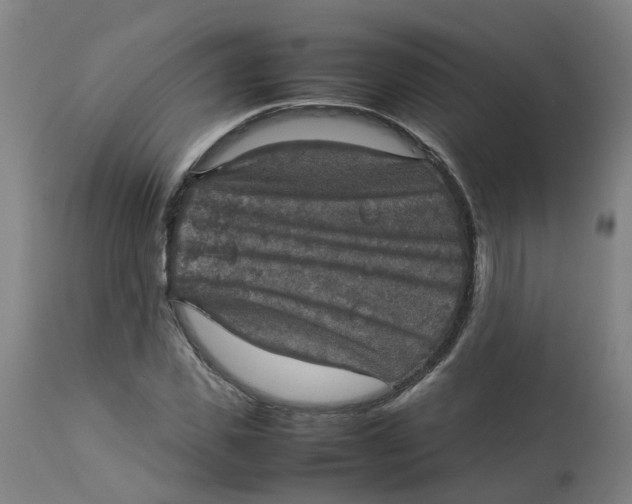 X0000112770925200909171309