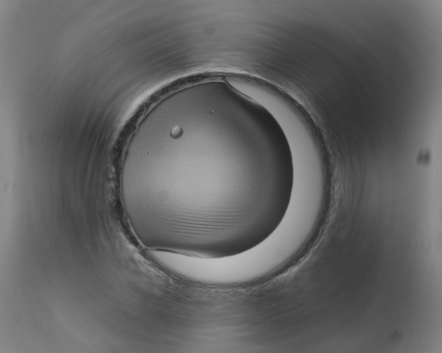 X0000112770926200909171309