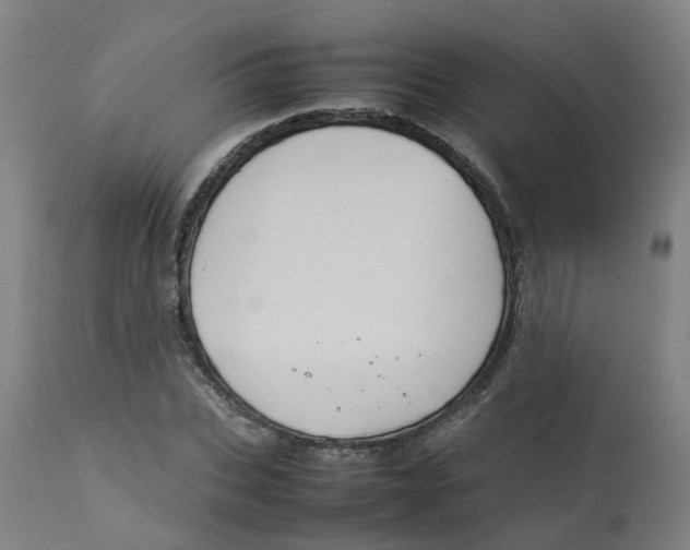 X0000112770927200909171309