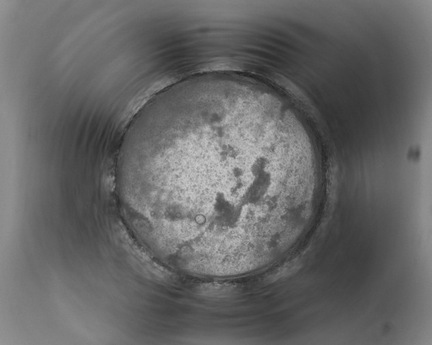 X0000112770929200909171309