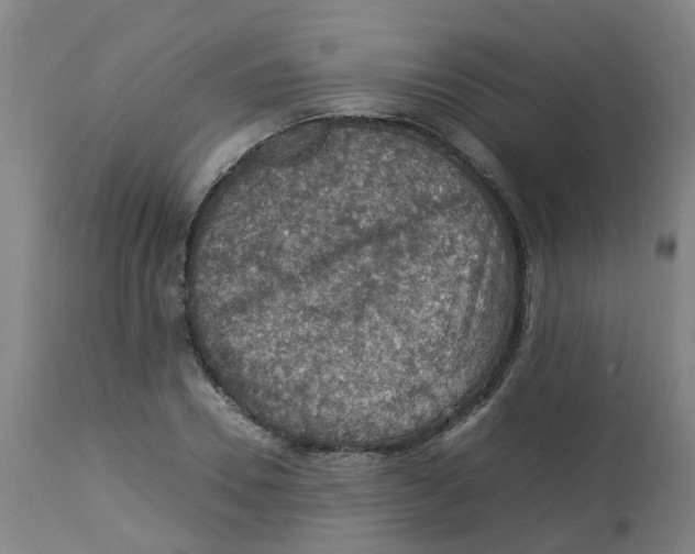 X0000112770930200909171309